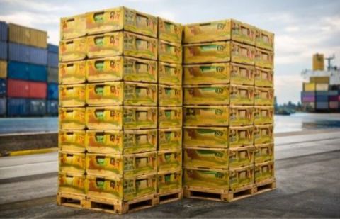 WhatsApp Image 2026-03-10 at 12.41.48 PM