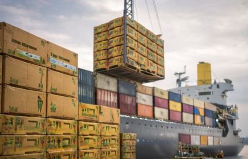 WhatsApp Image 2026-03-10 at 12.42.34 PM